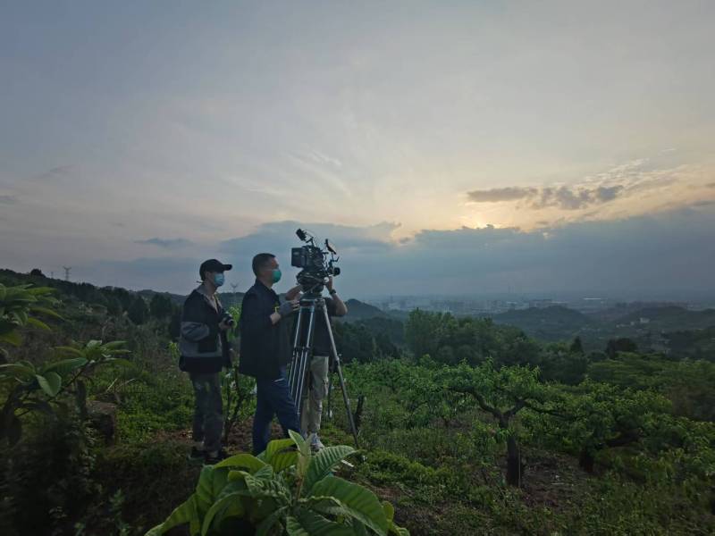 创意破圈！站前区电商产品宣传视频用故事化叙事引爆流量